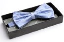 Manor Blue Silk Leaf Bow Tie