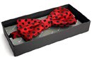 Red/Black Polka Dot Silk Bow Tie