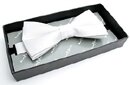 White Poly Bow Tie